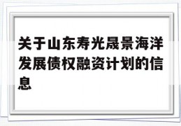 关于山东寿光晟景海洋发展债权融资计划的信息