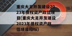 重庆大足开发建设2023年债权资产政信项目(重庆大足开发建设2023年债权资产政信项目招标)