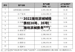 2022潍坊滨城城投债权20号、26号(潍坊滨城债务***)
