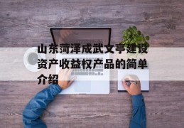 山东菏泽成武文亭建设资产收益权产品的简单介绍