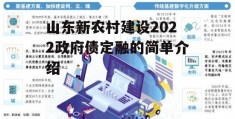 山东新农村建设2022政府债定融的简单介绍