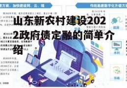 山东新农村建设2022政府债定融的简单介绍