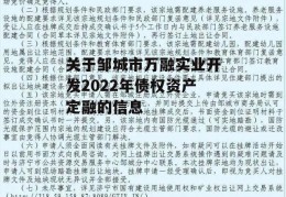 关于邹城市万融实业开发2022年债权资产定融的信息