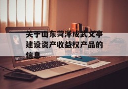 关于山东菏泽成武文亭建设资产收益权产品的信息