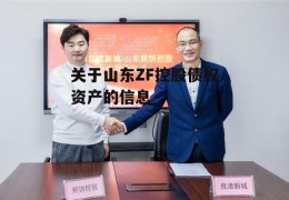 关于山东ZF控股债权资产的信息