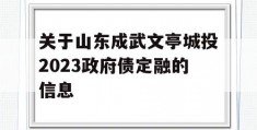 关于山东成武文亭城投2023政府债定融的信息