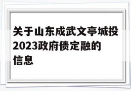 关于山东成武文亭城投2023政府债定融的信息