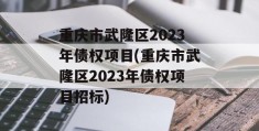 重庆市武隆区2023年债权项目(重庆市武隆区2023年债权项目招标)