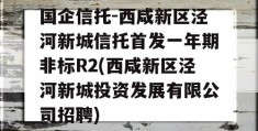 国企信托-西咸新区泾河新城信托首发一年期非标R2(西咸新区泾河新城投资发展有限公司招聘)