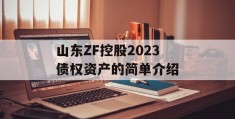 山东ZF控股2023债权资产的简单介绍