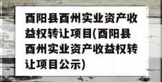 酉阳县酉州实业资产收益权转让项目(酉阳县酉州实业资产收益权转让项目公示)