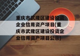 重庆市武隆区建设投资企业信用资产项目(重庆市武隆区建设投资企业信用资产项目公示)