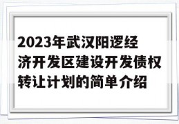 2023年武汉阳逻经济开发区建设开发债权转让计划的简单介绍