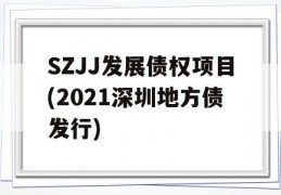 SZJJ发展债权项目(2021深圳地方债发行)