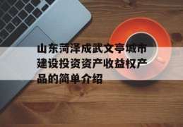 山东菏泽成武文亭城市建设投资资产收益权产品的简单介绍