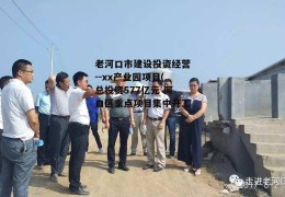 老河口市建设投资经营--xx产业园项目(总投资577亿元 河口区重点项目集中开工)