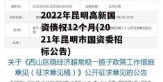 2022年昆明高新国资债权12个月(2021年昆明市国资委招标公告)