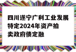 四川遂宁广利工业发展特定2024年资产拍卖政府债定融