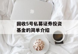 固收5号私募证券投资基金的简单介绍