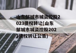 山东邹城市城资控股2023债权转让(山东邹城市城资控股2023债权转让公告)