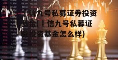 璟信九号私募证券投资基金(璟信九号私募证券投资基金怎么样)