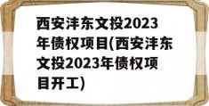 西安沣东文投2023年债权项目(西安沣东文投2023年债权项目开工)