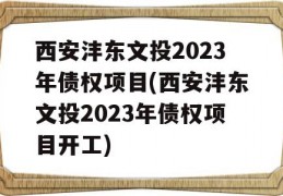 西安沣东文投2023年债权项目(西安沣东文投2023年债权项目开工)