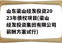 山东梁山经发投资2023年债权项目(梁山经发投资集团有限公司薪酬方案试行)