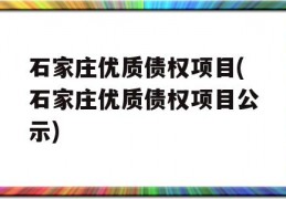 石家庄优质债权项目(石家庄优质债权项目公示)