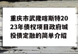 重庆市武隆喀斯特2023年债权项目政府城投债定融的简单介绍