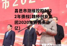 昌邑市渤维控股2022年债权(魏桥创业集团2020年销售多少亿)