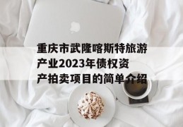 重庆市武隆喀斯特旅游产业2023年债权资产拍卖项目的简单介绍