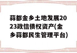 蒜都金乡土地发展2023政信债权资产(金乡蒜都民生管理平台)