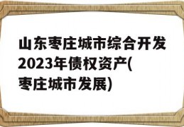 山东枣庄城市综合开发2023年债权资产(枣庄城市发展)