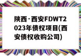 陕西·西安FDWT2023年债权项目(西安债权收购公司)