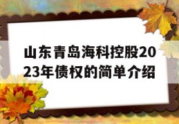 山东青岛海科控股2023年债权的简单介绍