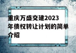 重庆万盛交建2023年债权转让计划的简单介绍