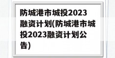 防城港市城投2023融资计划(防城港市城投2023融资计划公告)