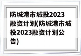 防城港市城投2023融资计划(防城港市城投2023融资计划公告)