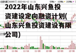 2022年山东兴鱼投资建设定向融资计划(山东兴鱼投资建设有限公司)