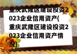 重庆武隆区建设投资2023企业信用资产(重庆武隆区建设投资2023企业信用资产情况)