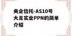 央企信托-AS10号大足实业PPN的简单介绍