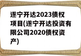 遂宁开达2023债权项目(遂宁开达投资有限公司2020债权资产)