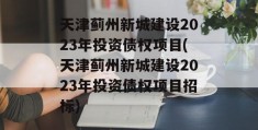 天津蓟州新城建设2023年投资债权项目(天津蓟州新城建设2023年投资债权项目招标)