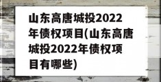山东高唐城投2022年债权项目(山东高唐城投2022年债权项目有哪些)