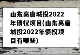 山东高唐城投2022年债权项目(山东高唐城投2022年债权项目有哪些)