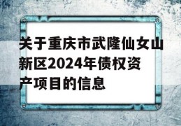 关于重庆市武隆仙女山新区2024年债权资产项目的信息