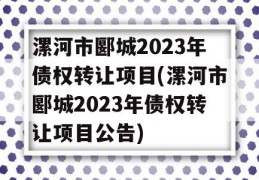 漯河市郾城2023年债权转让项目(漯河市郾城2023年债权转让项目公告)