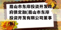 眉山市东岸投资开发政府债定融(眉山市东岸投资开发有限公司董事长)