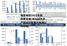 响水城投2022年政府债定融(响水城市资产投资控股集团有限公司评级)